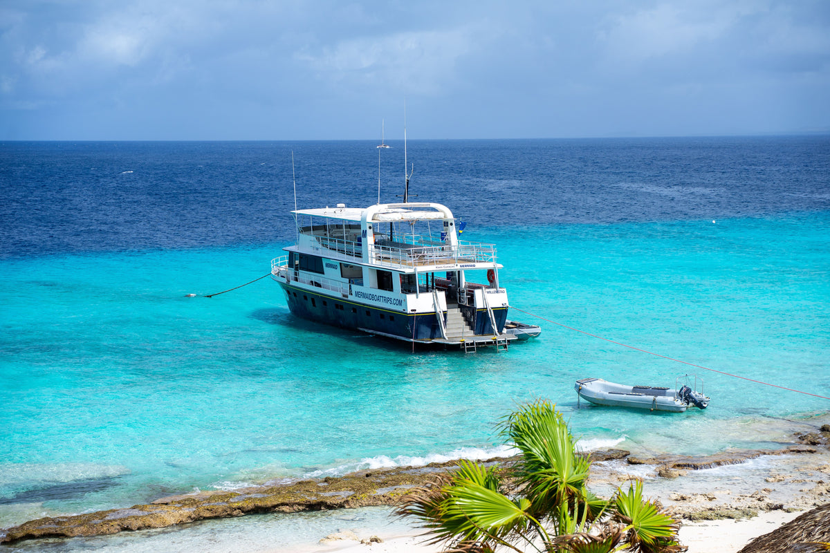 Liveaboard vs. Resort Diving: How to Choose Your Next Dive Trip