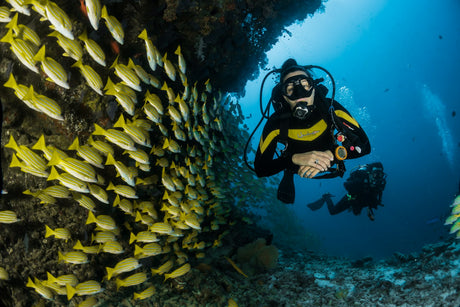 Scuba diver hovering over a reef