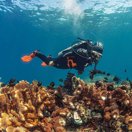 What is The Difference Between Snorkeling and Scuba Diving?