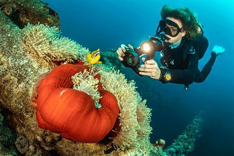 Choosing Your First Underwater Camera: A Practical Guide for Scuba Divers
