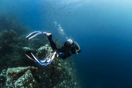 Dive Fins - Rentals