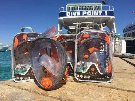 Snorkeling - Full Face Masks
