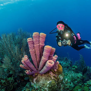Underwater Cameras