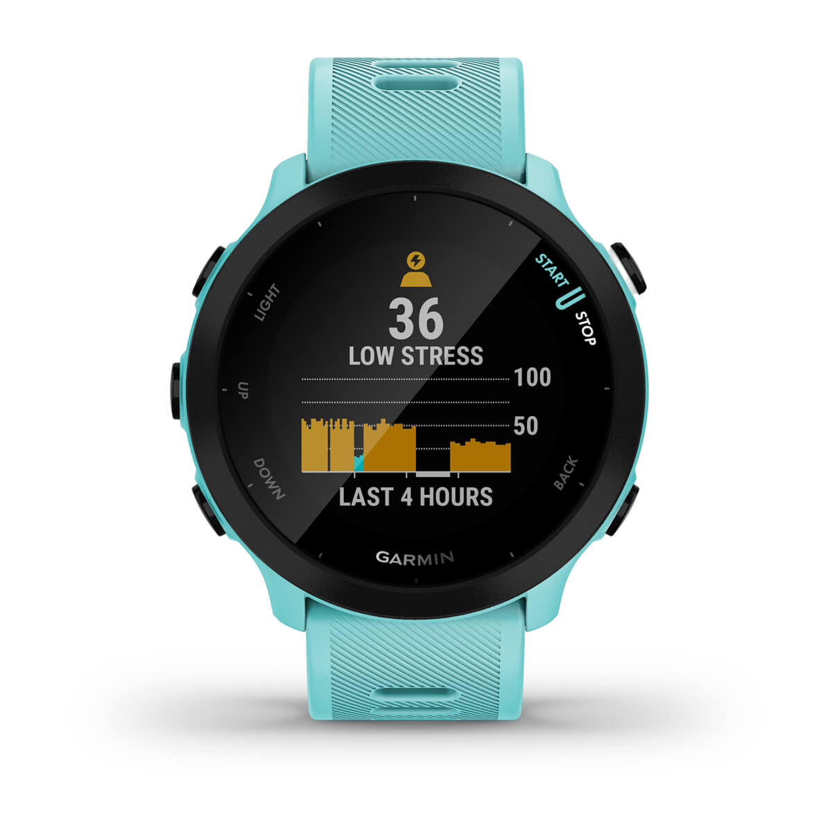 Garmin Forerunner 55 GPS Running Smartwatch
