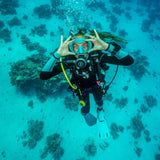 ScubaPro MK17 EVO2/G260 INT Regulator