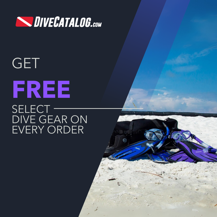 Dive gear on sand with promotional text for DiveCatalog.com