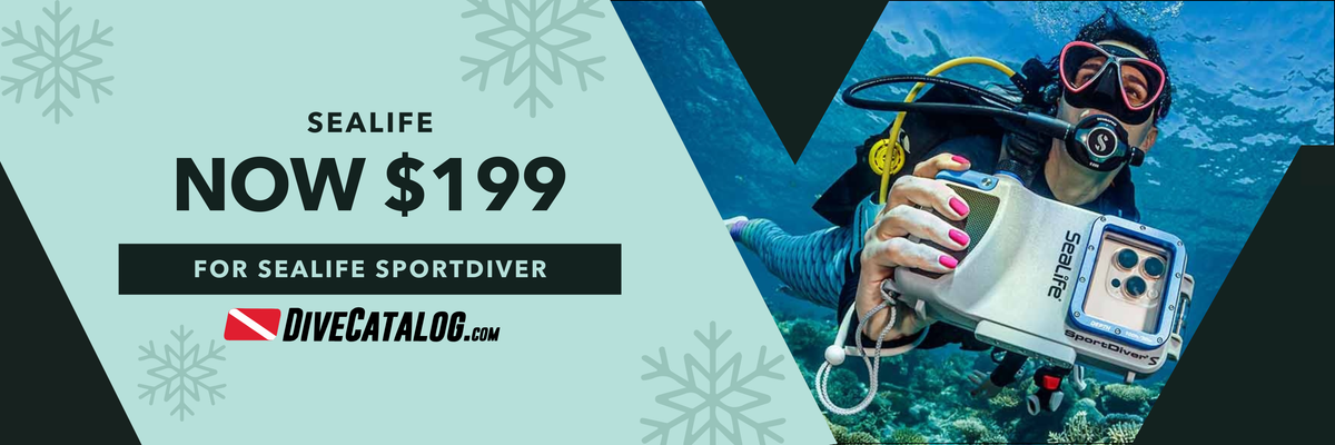 Person scuba diving with a Sealife device, promotional banner for Sealife Sportdiver on DiveCatalog.com.