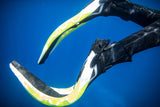 Aqualung Phazer Open Heel Dive Fins