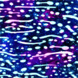 Spacefish Army Galaxy Whale Shark Dive Socks