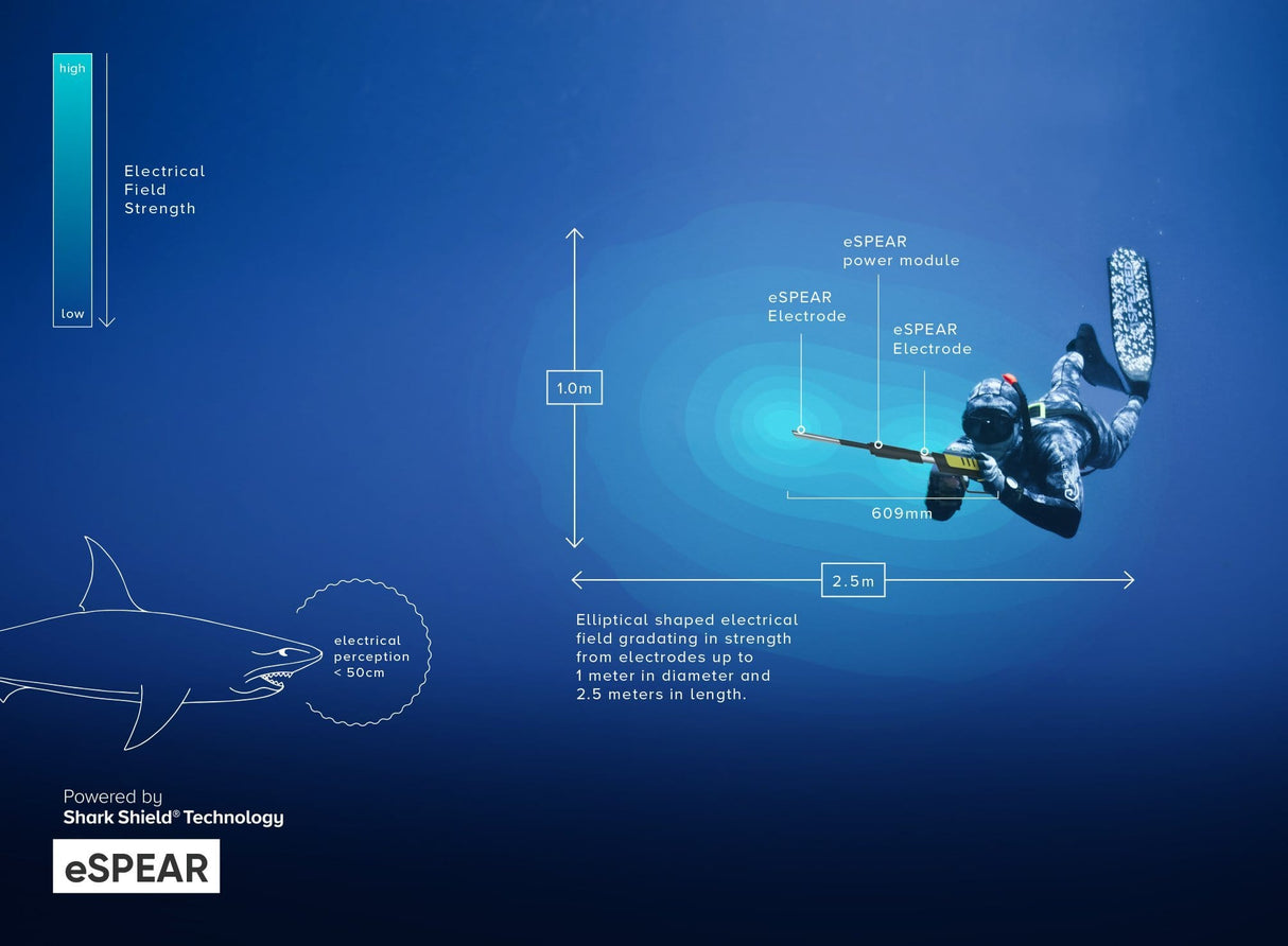 Open Box Ocean Guardian eSpear-