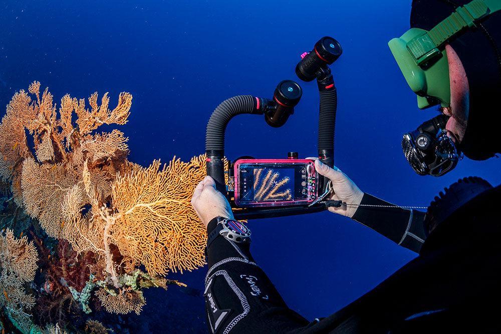 SeaLife Sea Dragon 3000F Color Boost COB LED Photo-Video Light Kit Head-