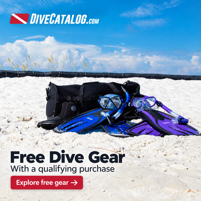 Free Dive Gear