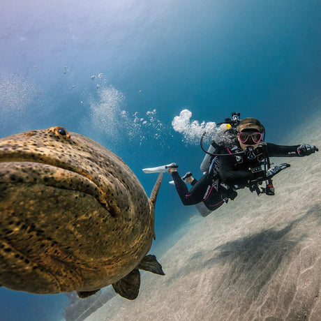 Scubapro Bella Jacket Type BCD - BPI-