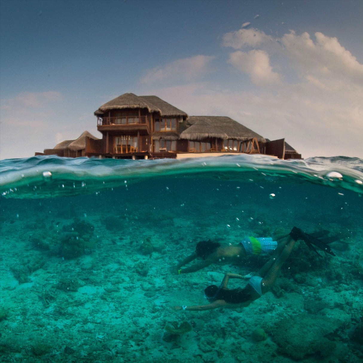 Suunto Zoop Novo Dive Computer Package Black-