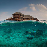 Suunto Zoop Novo Dive Computer Package Black-