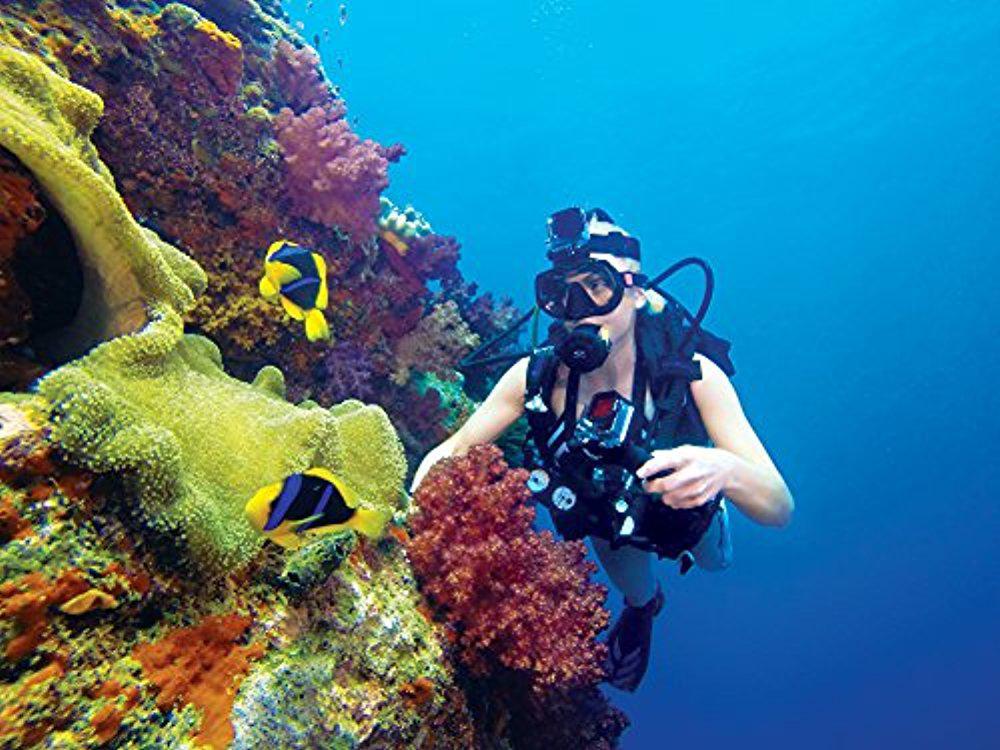 GoPro Red Dive Filter (Standard Housing) Accessory-