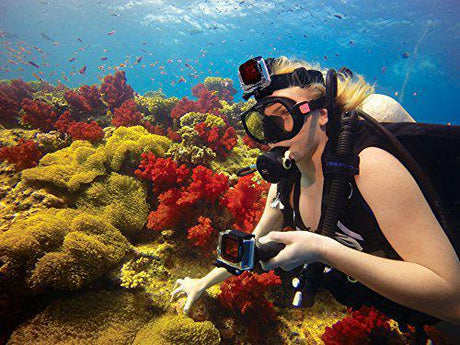 GoPro Red Dive Filter (Standard Housing) Accessory-