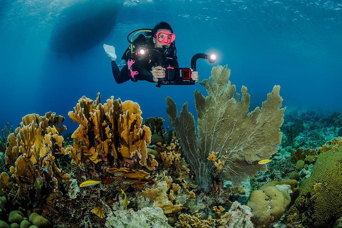 Open Box SeaLife SL9901 Flex-Connect Arm Compatible with Sea Dragon SL963, SL983, SL984-